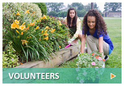 Volunteers