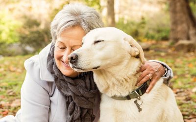 Pets help seniors stay happier, healthier wherever they live, studies show